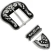 Montana Silversmiths Elemental Buckle Set