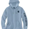 Carhartt Women's Clarksburg Logo Graphic Hoodie